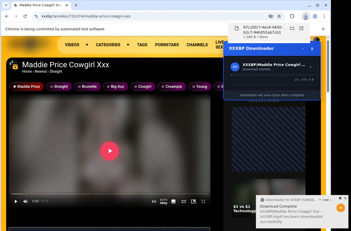 Xxxbp Video Downloader browser extension screenshot 2