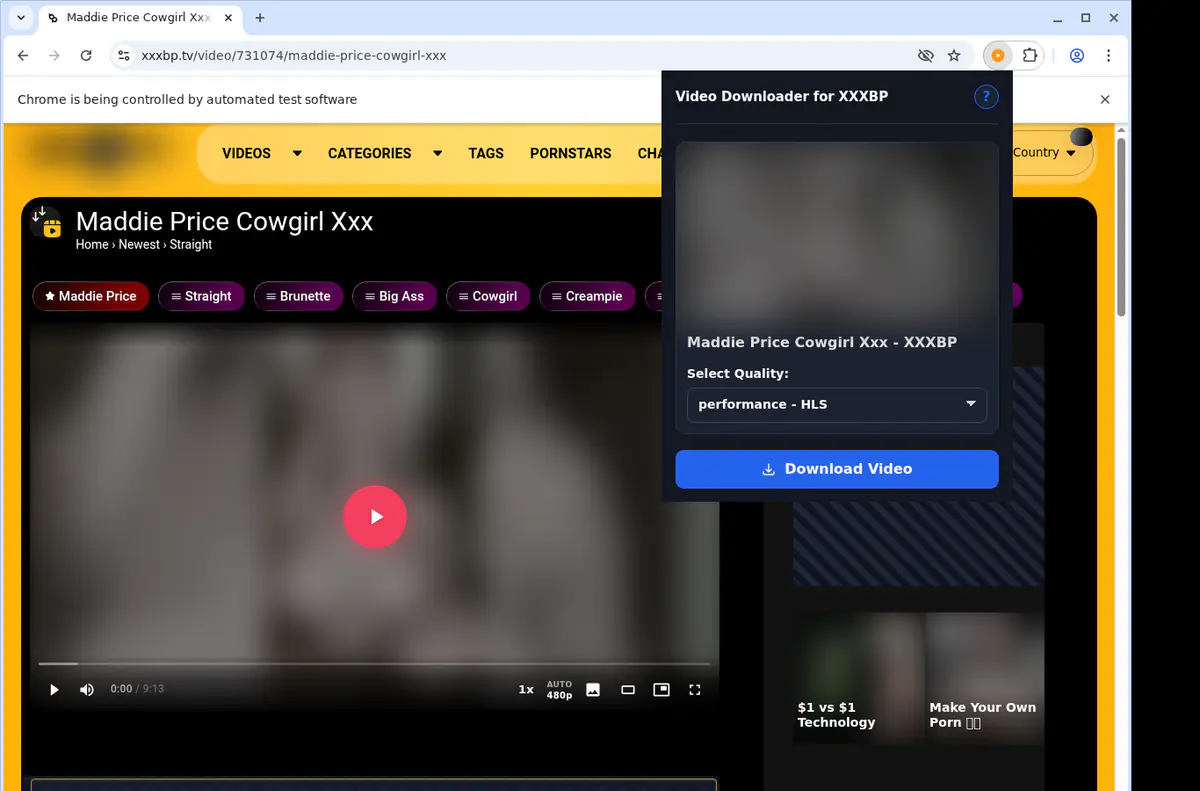 Xxxbp Video Downloader browser extension screenshot 3
